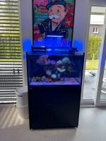 Red Sea Reefer 300 G2 Aquarium Bayern - Stockdorf Vorschau