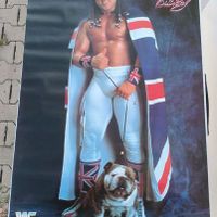 The British Bulldog Poster, WWF 1991, Vintage, Steve Taylor Nordrhein-Westfalen - Lübbecke  Vorschau