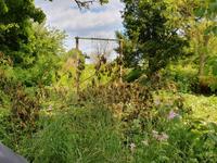 Gartengrundstück, Wehretal Hessen - Wehretal Vorschau