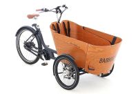 BABBOE  Carve Mountain 500Wh NEU! UVP 5949 € BE8 Pankow - Prenzlauer Berg Vorschau