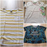 Adidas, Puma, Reebok und Schöffel Damen Shirts Gr.42-44 Bayern - Langerringen Vorschau