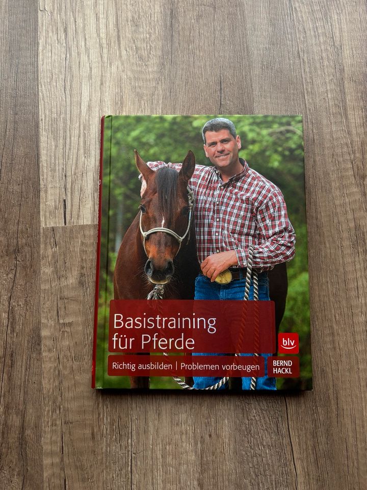 Bernd Hackl Basistraining für Pferde in Treuchtlingen