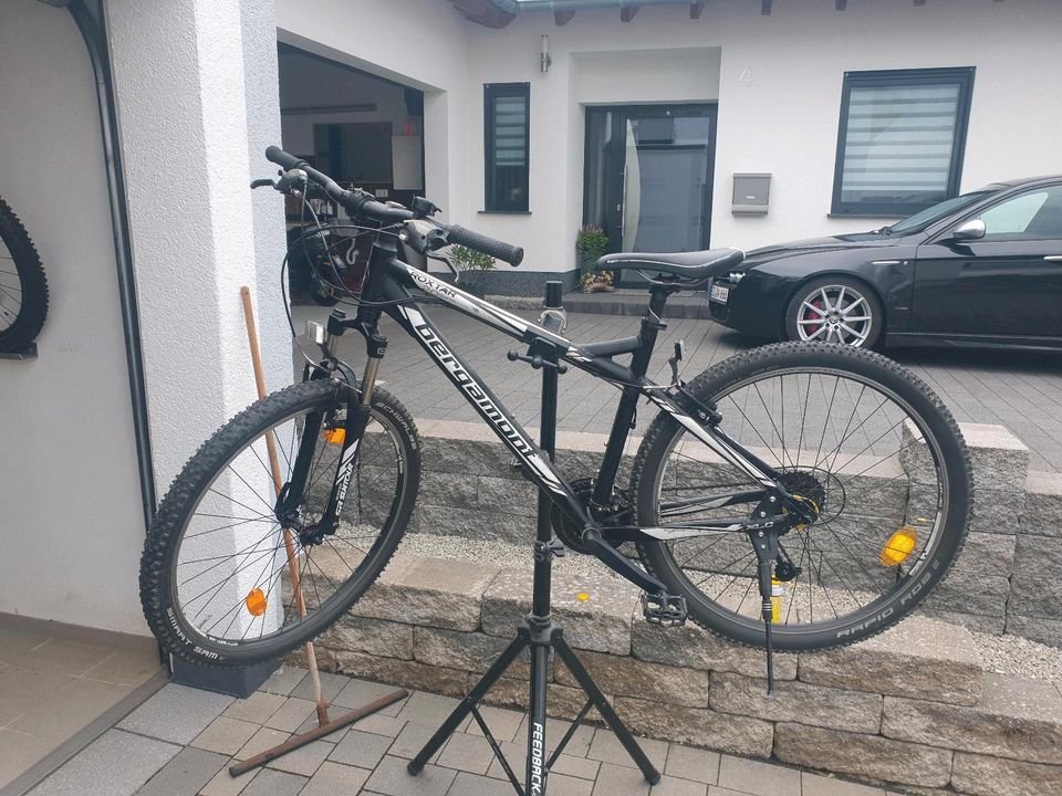 Bergamont Mountain Bike Rahmengröße 47 in Illerich