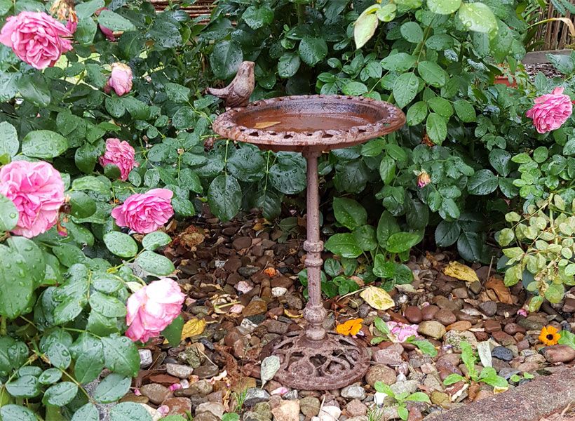 Nostalgie Standvogeltränke 35cm Gusseisen Vogelbad Wassertränke in Frankfurt am Main