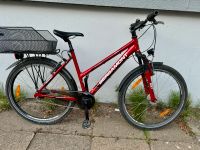 Bergamont 26 zoll Fahrrad Brandenburg - Potsdam Vorschau