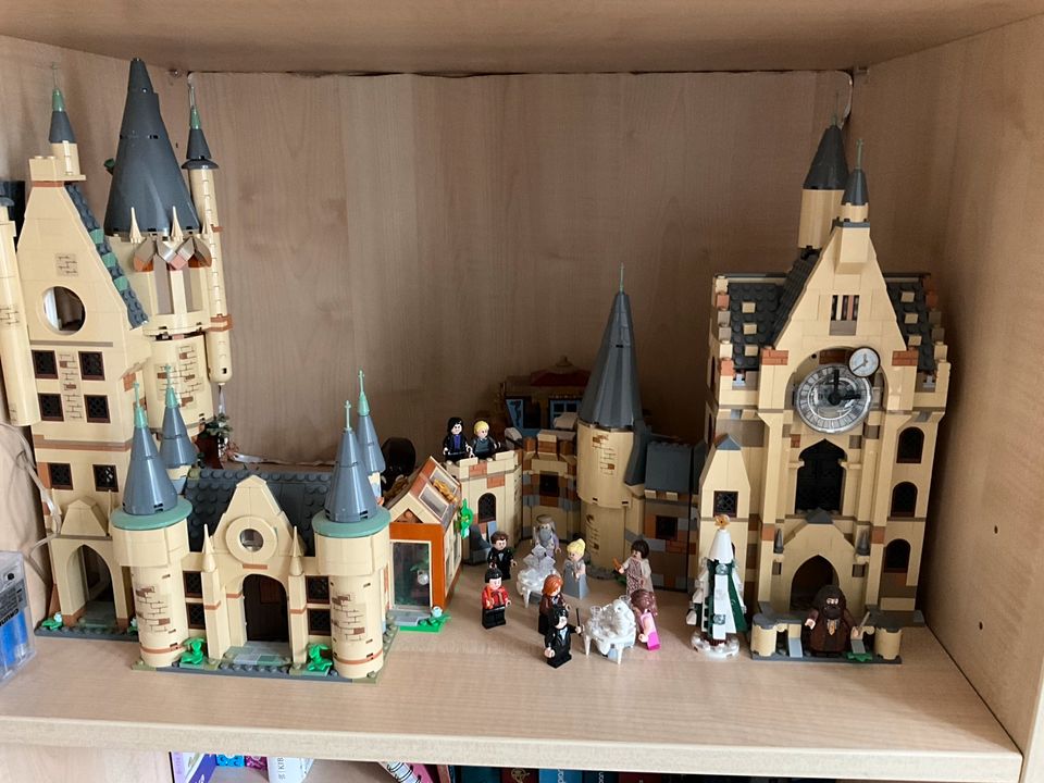Lego Harry Potter Sammlung in Ennigerloh