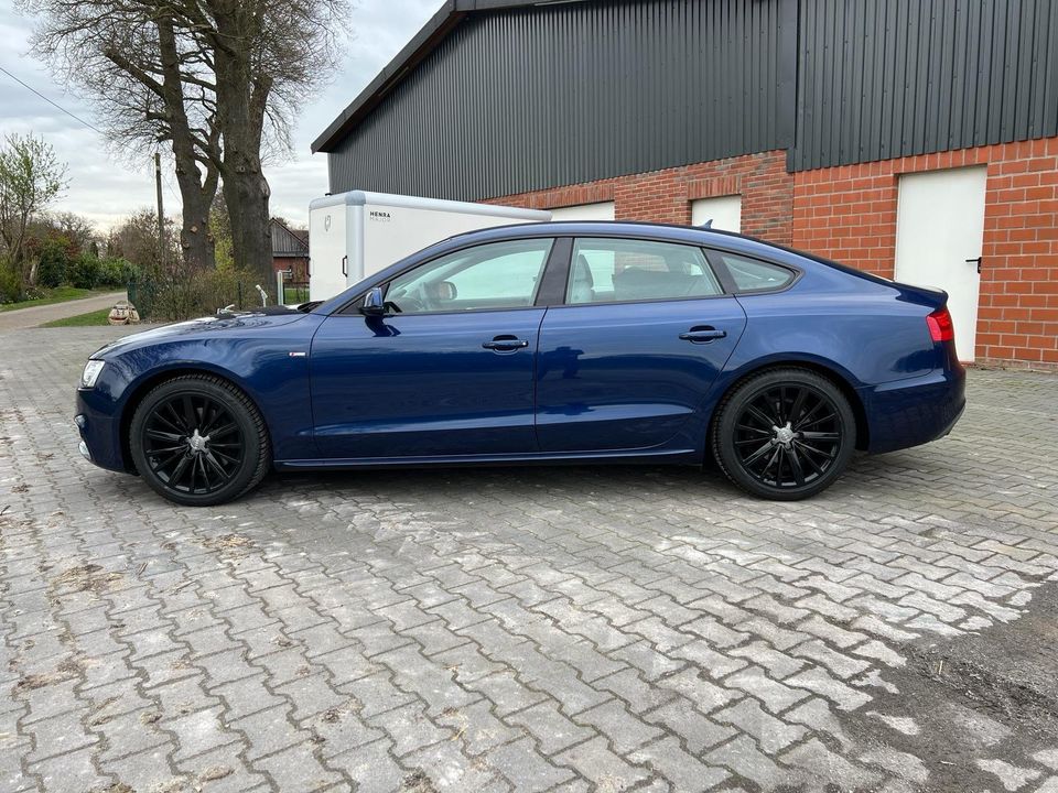 Audi A5 3.0 TDI 160kW S- Tronic Quattro Sportback in Vielstedt