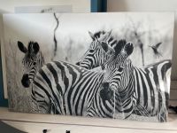 ⭐️ Leinwand Bild Zebra schwarz weiß 80x50 cm ⭐️ Baden-Württemberg - Höpfingen Vorschau