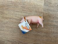 Tip toi Spielfigur schwein Nordrhein-Westfalen - Spenge Vorschau