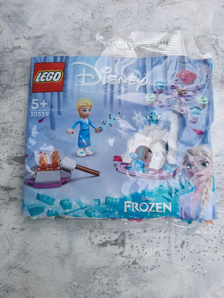 Lego Disney Frozen 30559 in Gladbeck