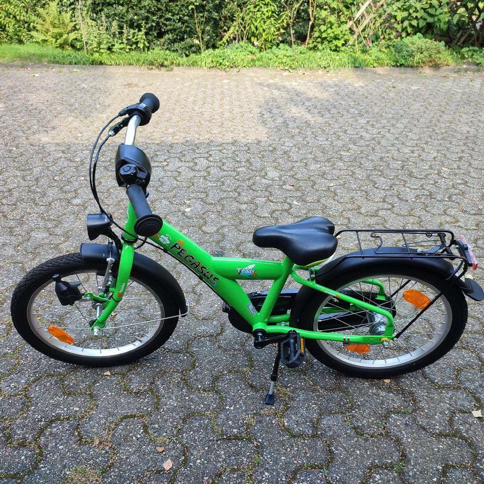 Pegasus Kinderfahrrad 18 zoll mit Licht in Oberhausen