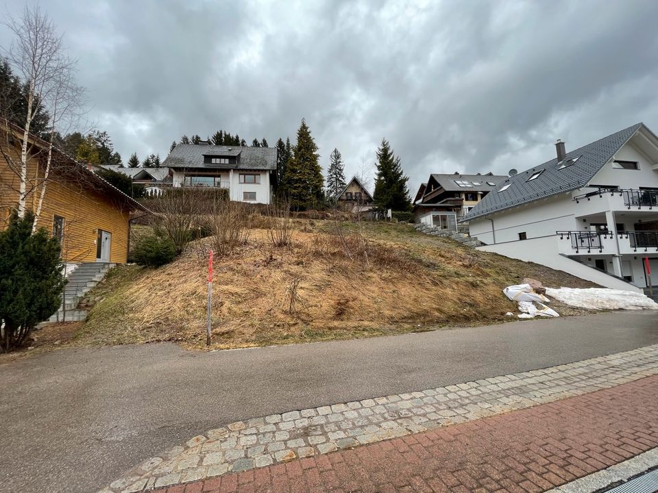 Baugrundstück 515qm Feldberg/ Altglashütten in Freiburg im Breisgau