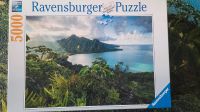 5000 Teile Puzzle Ravensburger Nordrhein-Westfalen - Sassenberg Vorschau