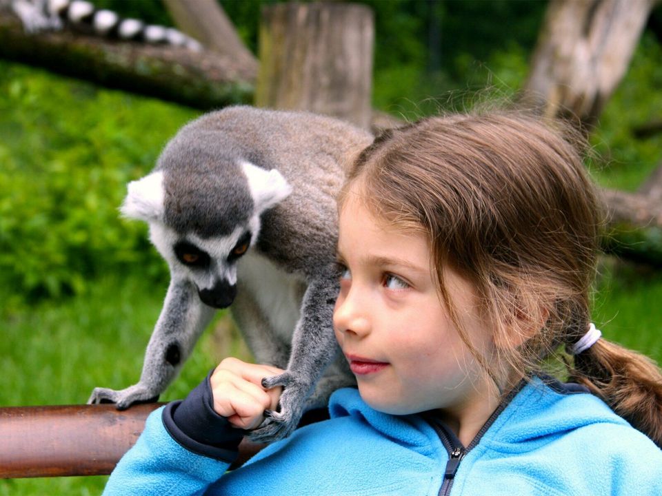 Familien-Sparurlaub mit Halbpension in Bispingen