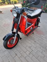 Simson SR 50 B4/1 Brandenburg - Forst (Lausitz) Vorschau