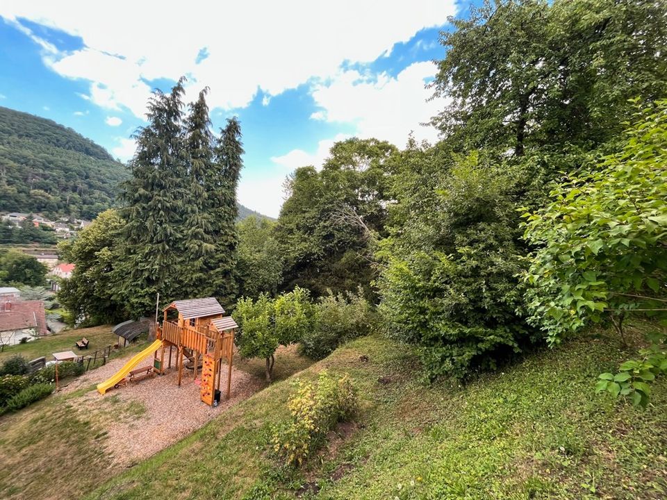 Großes Baugrundstück (1500 m²) über den Dächern von Lambrecht in Lambrecht (Pfalz)