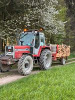 Massey Ferguson 1014 Rheinland-Pfalz - Wahlrod Vorschau