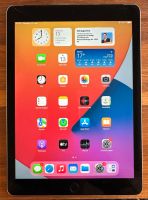 iPad Air 2 128gb wifi + simslot Brandenburg - Oranienburg Vorschau