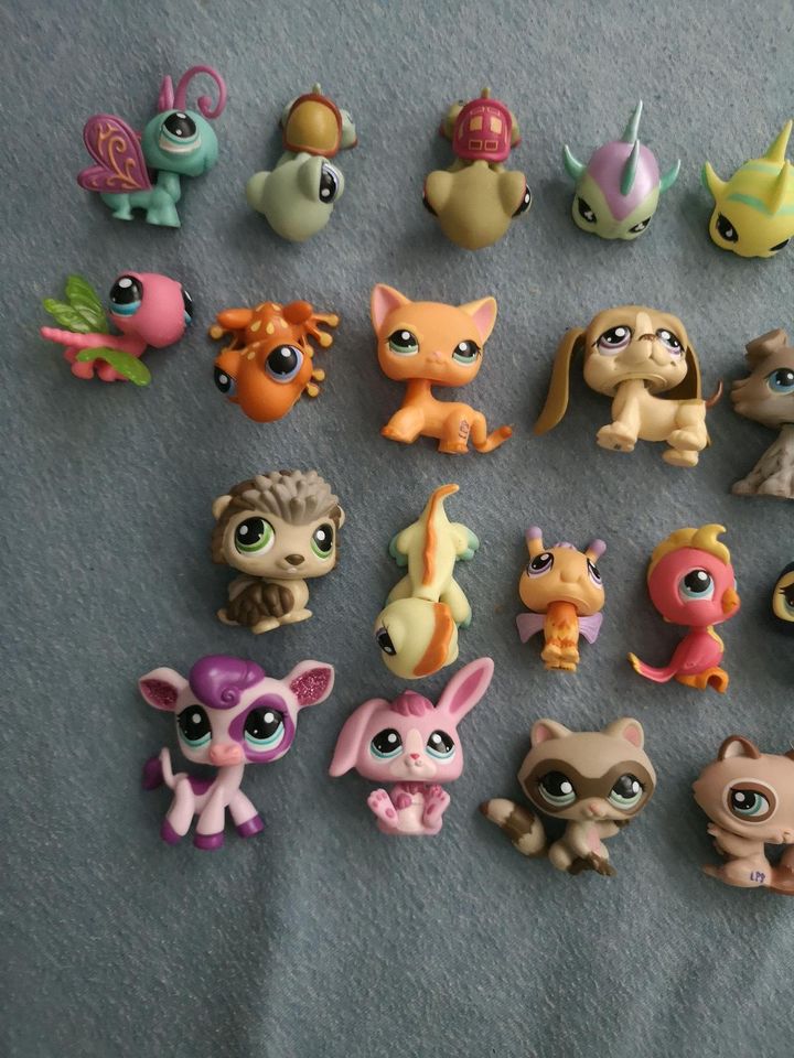 Littlest pet Shop Figuren Sammlung Original in Duisburg