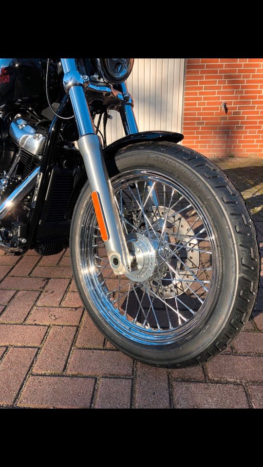 Harley Davidson Softail Standard 107 in Vechta