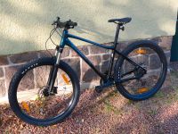 Mountainbike LIV by Giant 27,5'' Sachsen - Bad Gottleuba-Berggießhübel Vorschau