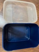 Tupperware Schatztruhe Naschkätzchen blau Inhalt 7,3 L Hessen - Bischofsheim Vorschau