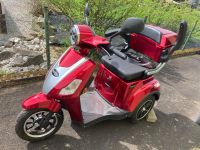 Rolektro E-Trike 25 V.2 E-Roller Elektroroller Nordrhein-Westfalen - Windeck Vorschau