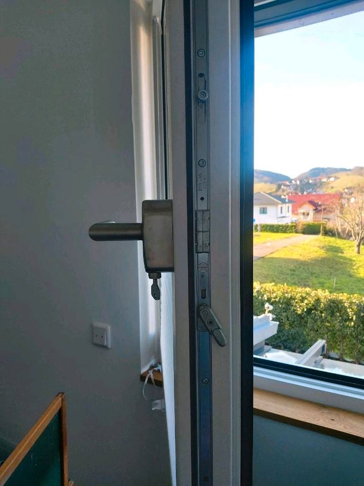 Doppelfenster mit Stulp Holz/Alu in Kappelrodeck