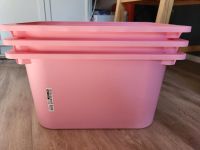 3 Ikea TROFAST Kisten in rosa Schleswig-Holstein - Eckernförde Vorschau