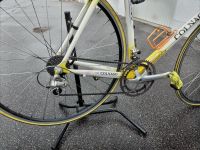 Rennrad Colnago Dream 60 cm Bayern - Regensburg Vorschau