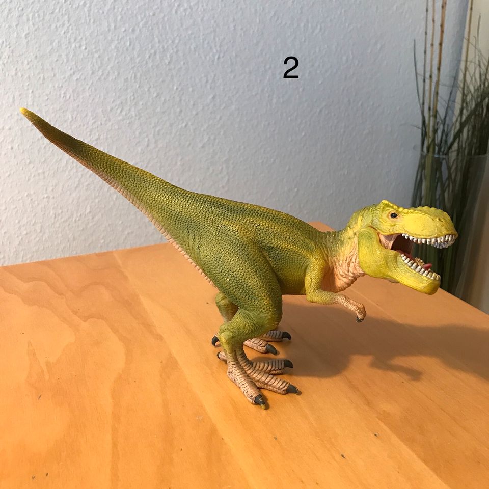 Schleich Dinosaurier groß in Bruchköbel