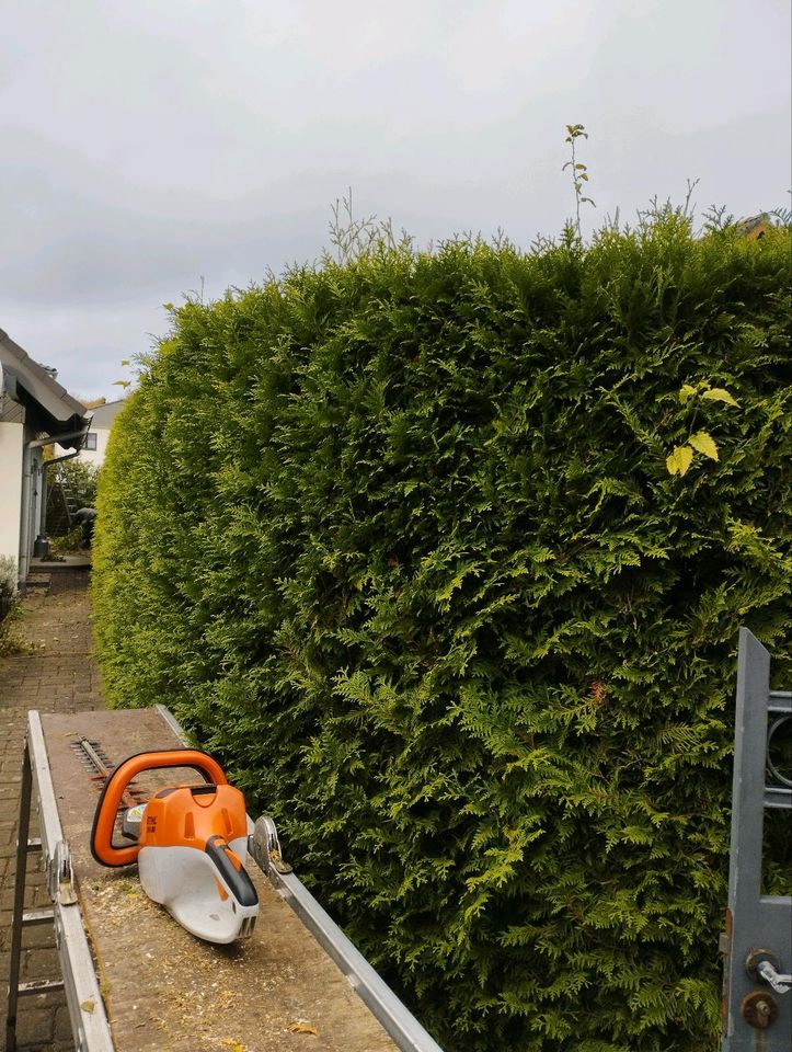 Hilfe für Haus und Garten in Rostock