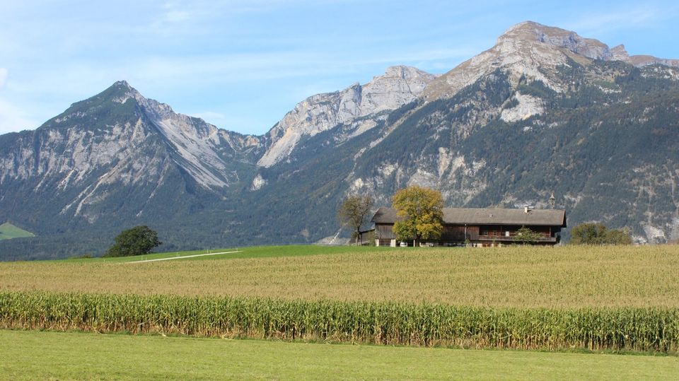 Reith im Alpbachtal Ferienwohnung für 2-5 Personen 1Hund erlaubt in Driedorf