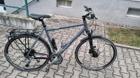 Gudereit Herren Trekking-Fahrrad Sachsen - Pirna Vorschau
