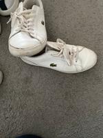 Lacoste Schuhe Original Niedersachsen - Celle Vorschau