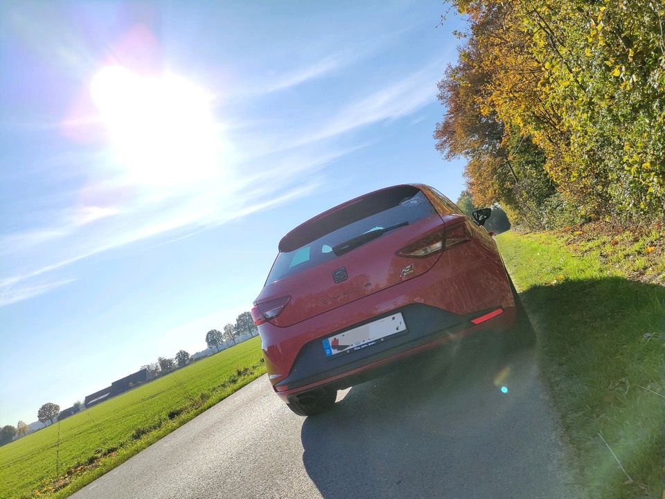 Seat Leon Cupra in Senden