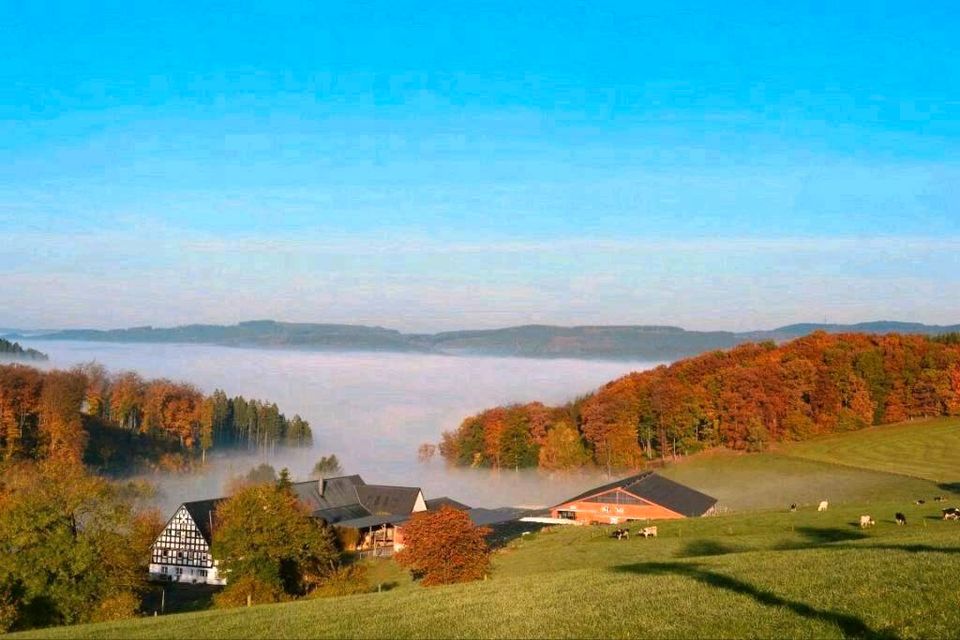 Ferien auf dem Bauernhof in Finnentrop