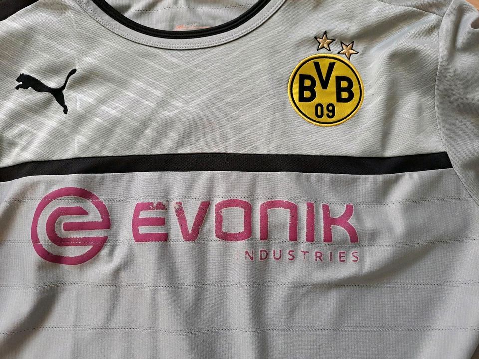 BVB Borussia Dortmund Trikot Tshirt XL XXL DFB Pokalsieger 2017 in Neuss
