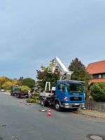 Baumpflege Baumfällung mit Hubarbeitsbühne/ Hebebühne 30 Meter Niedersachsen - Hermannsburg Vorschau