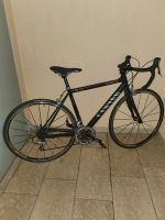 Rennrad Canyon Ultimate Al F8,  Size 52 München - Schwabing-Freimann Vorschau