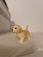 Schleich kleiner Hund Schleswig-Holstein - Neumünster Vorschau