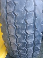 445/95R25  Bridgestone radlader Autokran reifen Nordrhein-Westfalen - Rödinghausen Vorschau