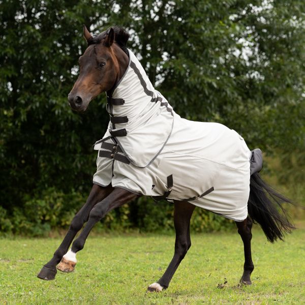 Fliegendecke, Ekzemerdecke Horseware Rambo Protector, Amigo Mio Fly, Rambo Hoody, Busse Sunshine II, Busse Strong 90,95,100,110,115,125,130,140,145,155,160,165 auch Big Size Neuware in Kempen