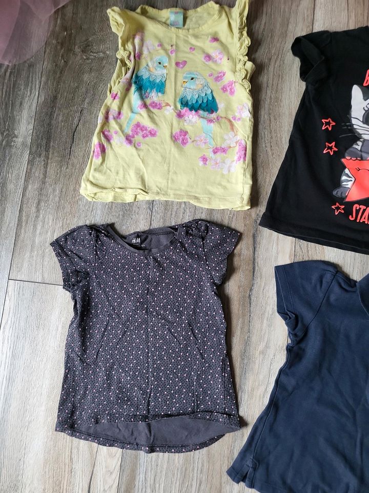 Tshirts 98/104 H&M, Papagino etc. in Satow