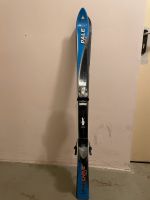 Kinder Light Carving Ski 120cm Pale.Nur Abholung Bayern - Marktheidenfeld Vorschau