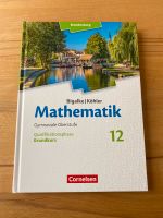 Mathematik 12 klasse Berlin/Brandenburg Brandenburg - Potsdam Vorschau