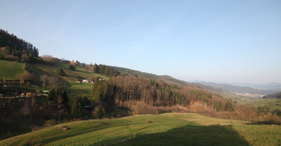 Traum-2-Zi.-ETW mit Terrasse in herrlicher Aussichtslage in Zell am Harmersbach
