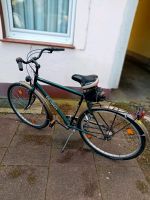 Fahrrad 28 Zoll Nordrhein-Westfalen - Marl Vorschau