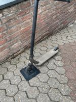 Chilli Scooter Nordrhein-Westfalen - Eschweiler Vorschau