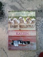 Katzen und Hunde Postkarten Hessen - Erlensee Vorschau